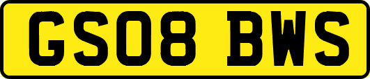 GS08BWS