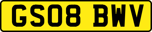 GS08BWV