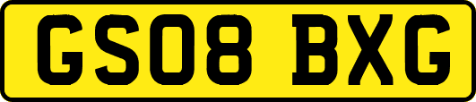 GS08BXG