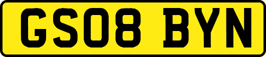 GS08BYN