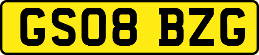 GS08BZG