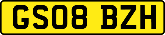 GS08BZH