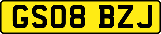 GS08BZJ