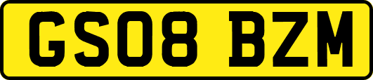 GS08BZM