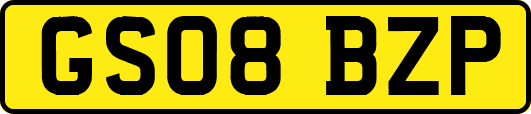 GS08BZP