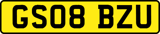 GS08BZU
