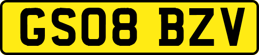 GS08BZV