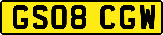 GS08CGW