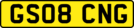 GS08CNG