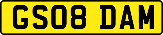 GS08DAM