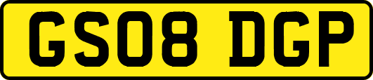 GS08DGP