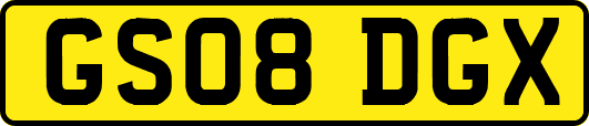 GS08DGX