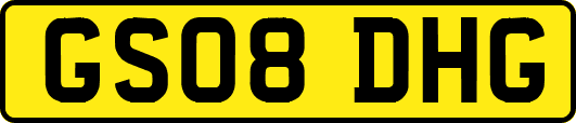 GS08DHG