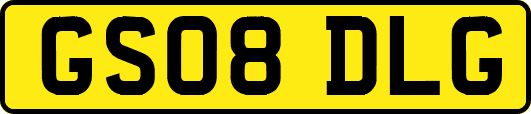 GS08DLG