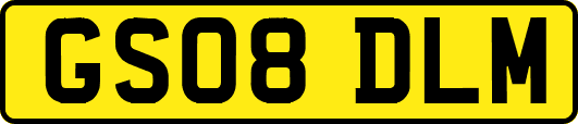 GS08DLM