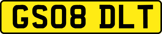 GS08DLT