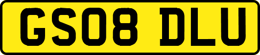 GS08DLU
