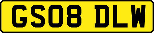 GS08DLW