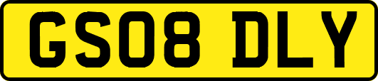 GS08DLY