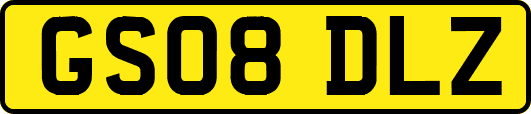 GS08DLZ