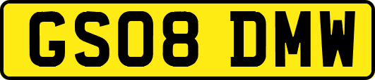 GS08DMW