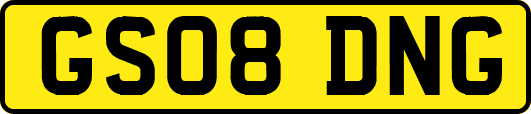 GS08DNG