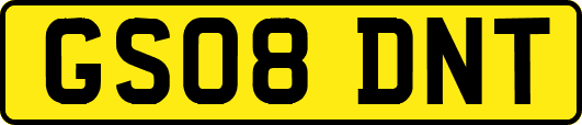 GS08DNT