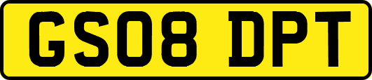 GS08DPT