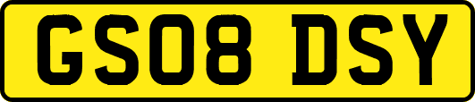 GS08DSY