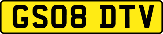 GS08DTV