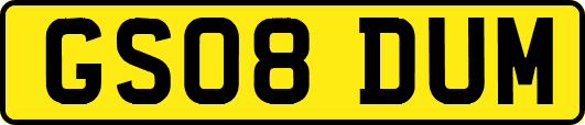 GS08DUM