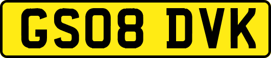 GS08DVK