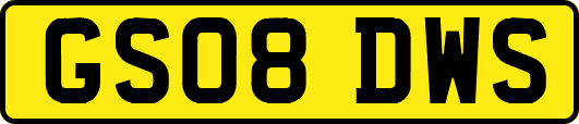GS08DWS