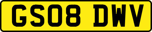 GS08DWV