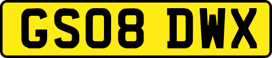 GS08DWX