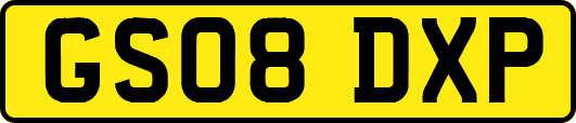 GS08DXP