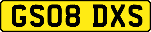 GS08DXS