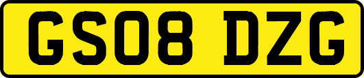 GS08DZG