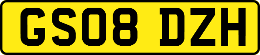 GS08DZH