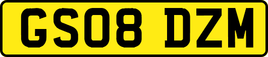 GS08DZM