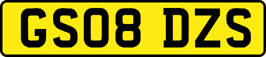 GS08DZS
