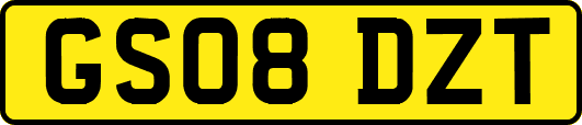 GS08DZT