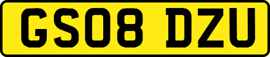 GS08DZU