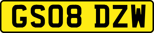 GS08DZW