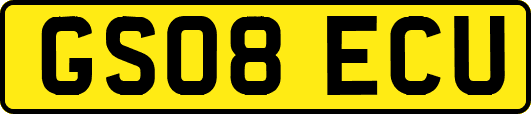GS08ECU