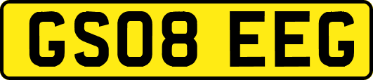 GS08EEG