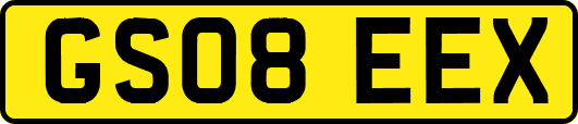 GS08EEX