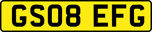 GS08EFG