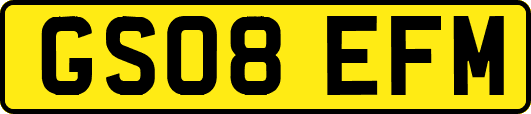 GS08EFM