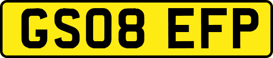 GS08EFP
